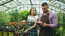 vakantiewerk en regels