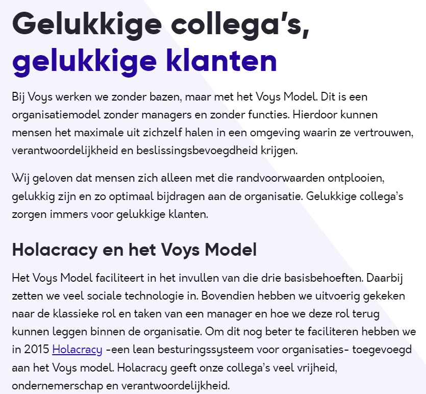 voys-holacratie-voorbeeld